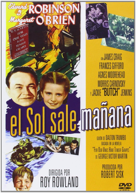 El Sol sale mañana [DVD]