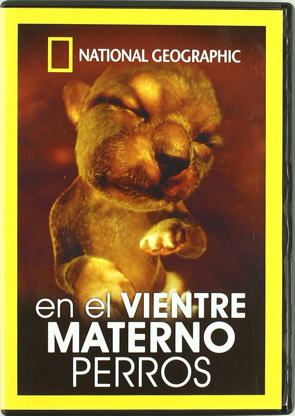 En el vientre materno: perros [DVD]